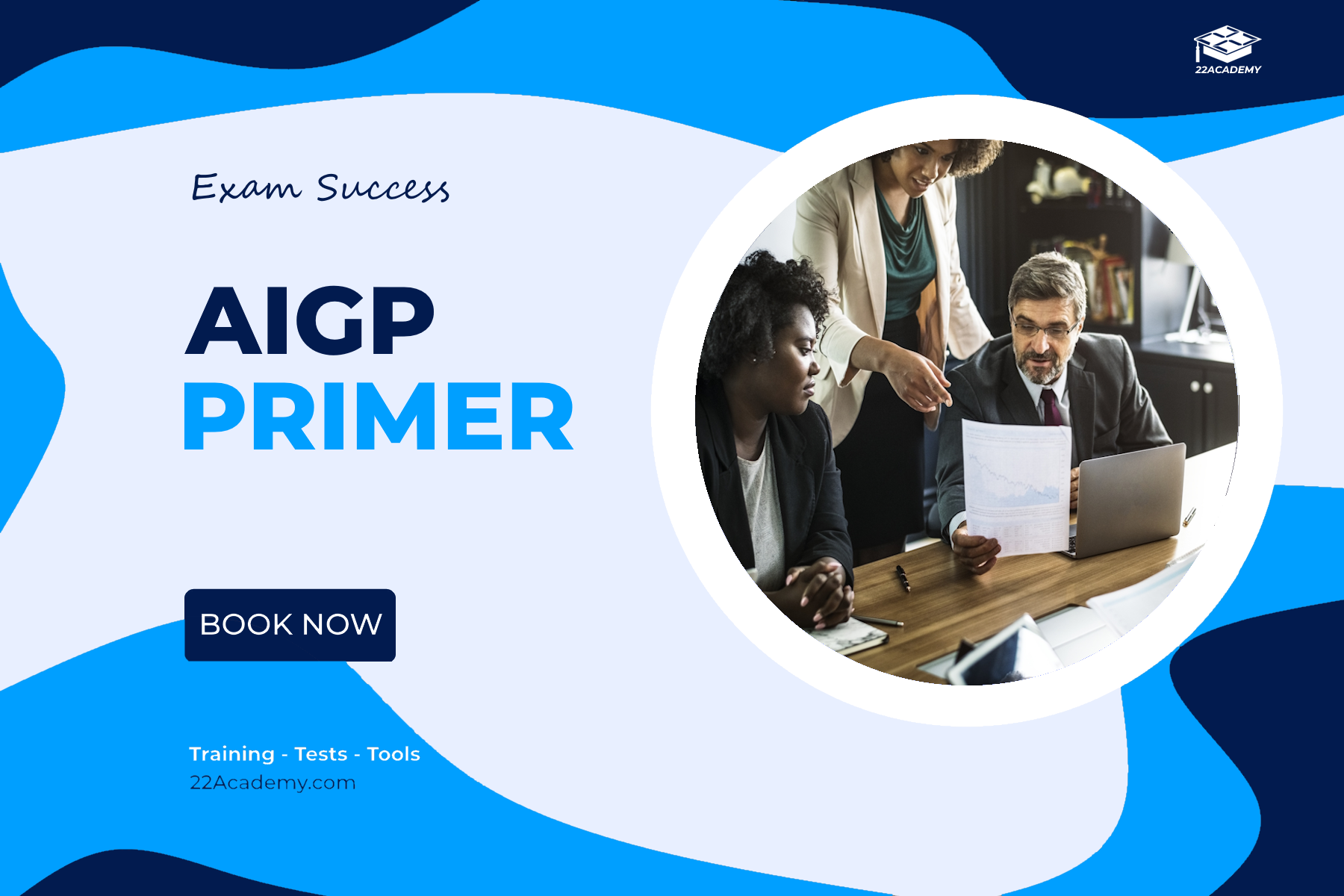 The AIGP Primer
